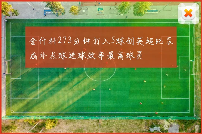 舍什科273分钟打入5球创英超纪录成非点球进球效率最高球员