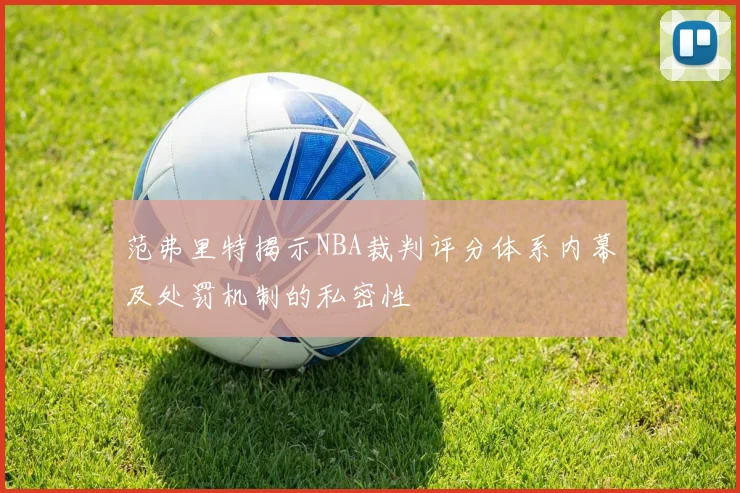 范弗里特揭示NBA裁判评分体系内幕及处罚机制的私密性