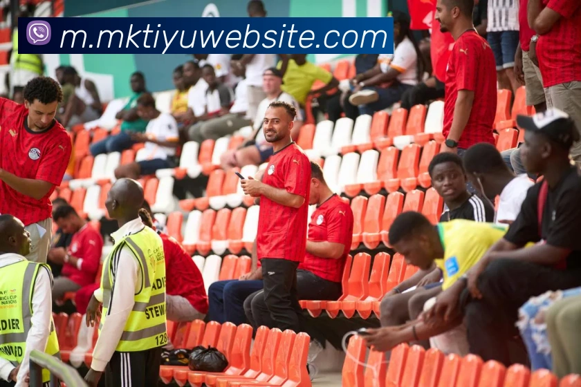 MK体育平台生态图